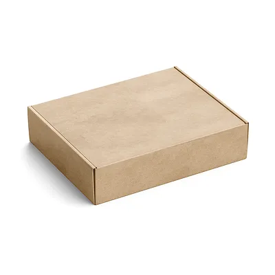Kraft mailer box with printing on lid