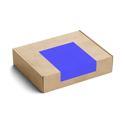 Kraft mailer box with label with your design.